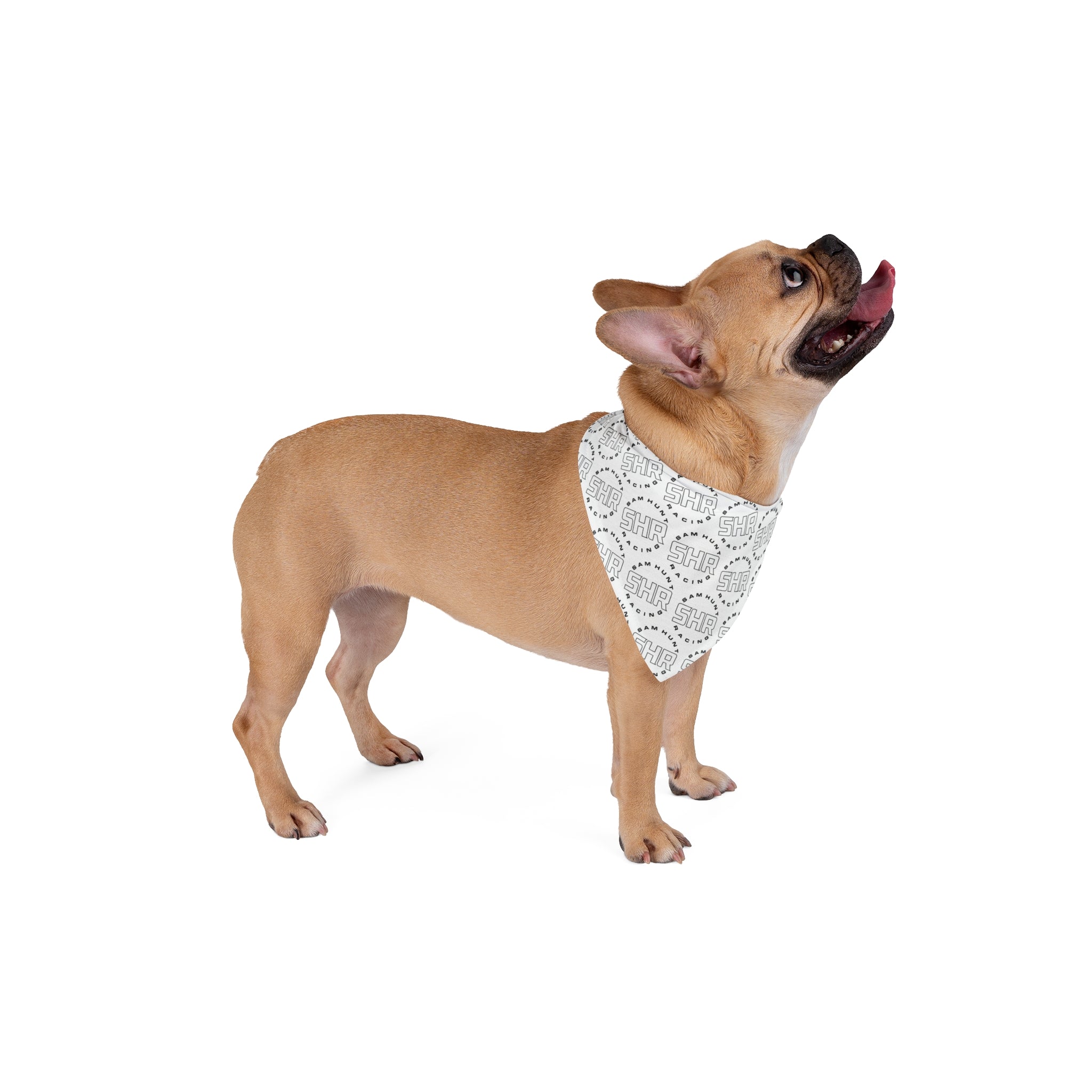 SHR Lifestyle Pet Bandana