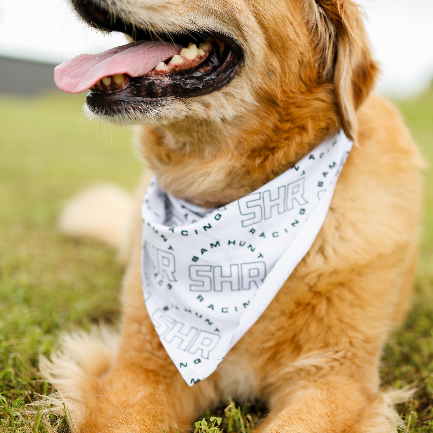 SHR Lifestyle Pet Bandana