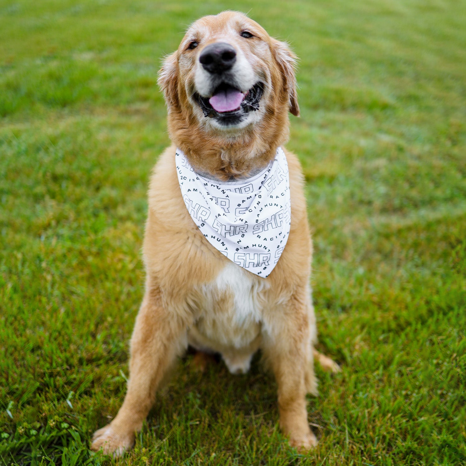 SHR Lifestyle Pet Bandana